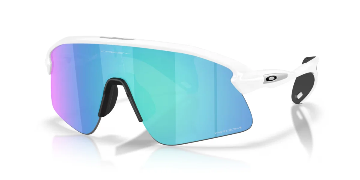 NAOČARE OAKLEY STUNT DEVIL - Slika 2