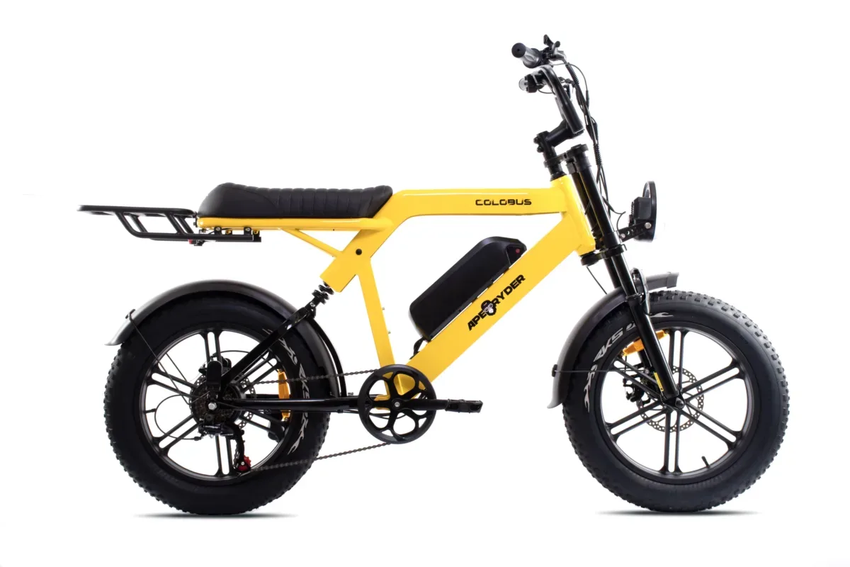 BICIKL-E-BIKE APERYDER COLOBUS A10 20