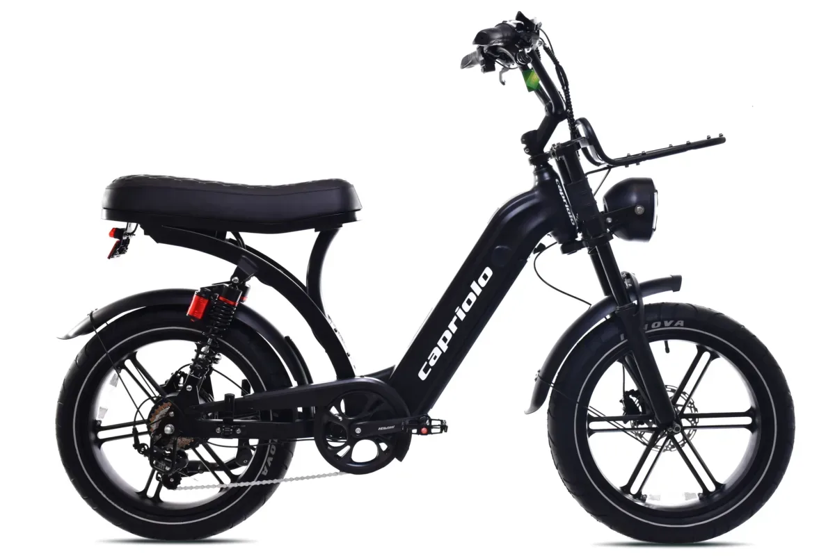 E-BIKE E-MATIC 20