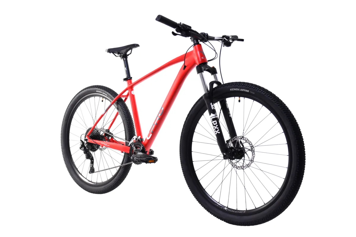 BICIKL CAPRIOLO CPRO MTB AL-PHA 9.5 29
