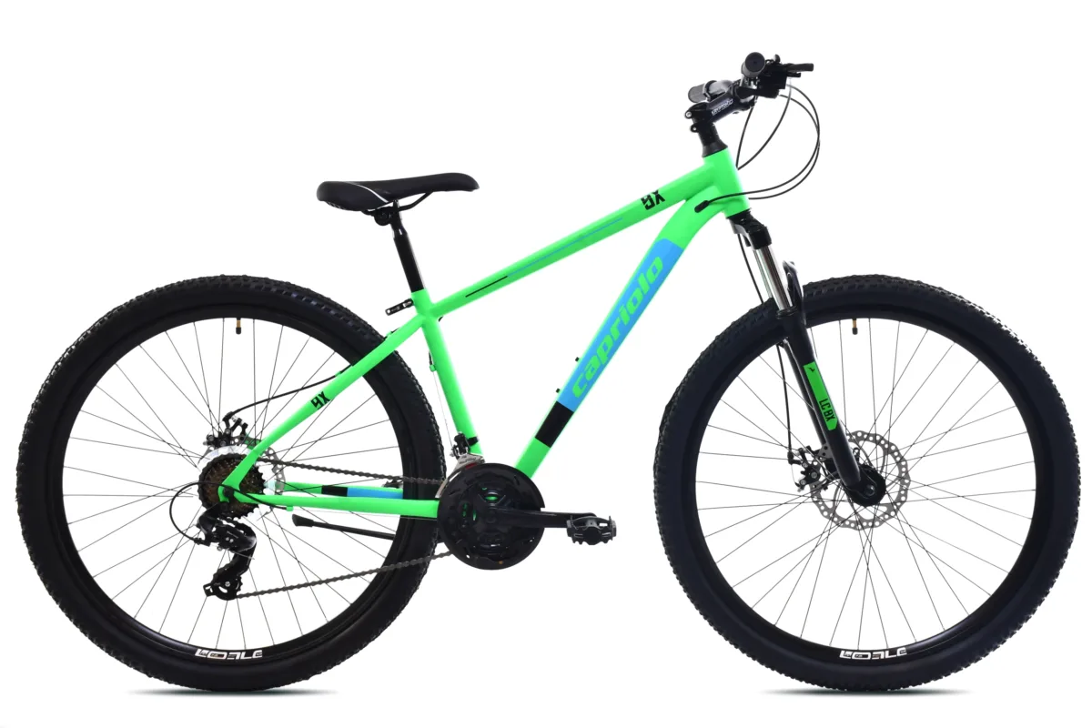 MTB 9.X /21HT zeleno plavo