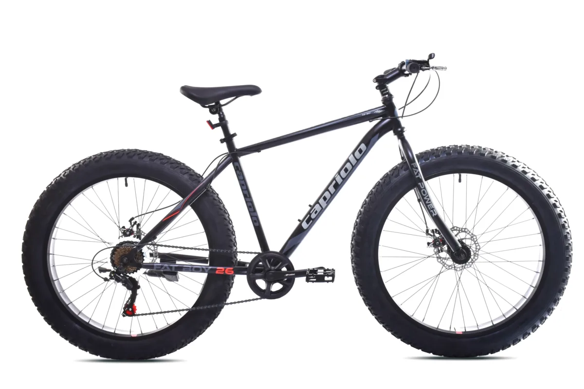 BICIKL CAPRIOLO FAT BOY 26